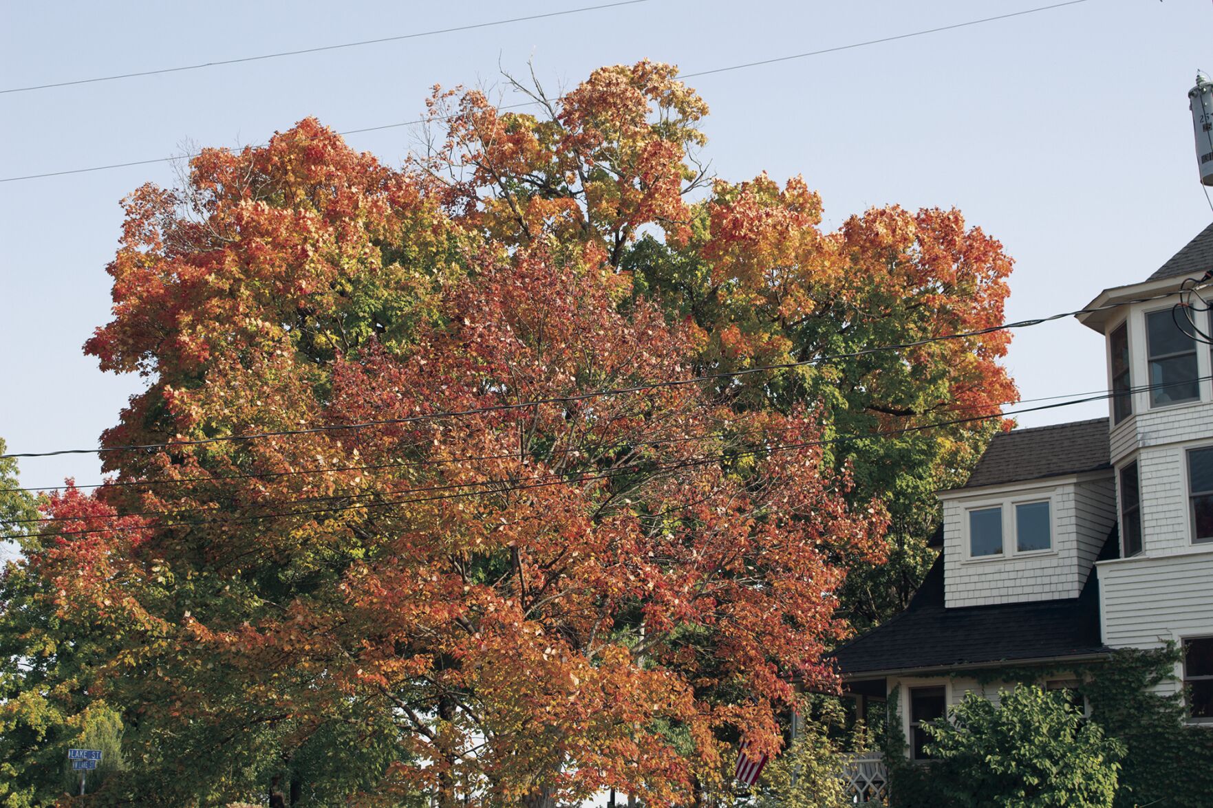 Fall colors 4
